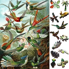 Wooden Jigsaw Puzzle for Adults by FoxSmartBox - 267 Pieces - Hummingbirds