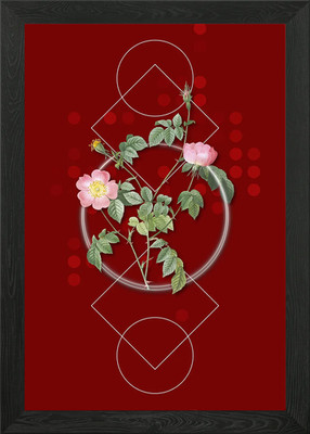 Pink Austrian Copper Rose Framed Wall Art Poster Canvas Print Picture