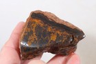 Morocco Yellow Jacket Jasper lapidary 10.4 oz. windowed rough lot P5 — photo 9
