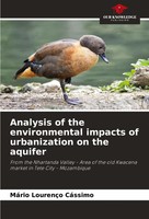 MáRio LourençO CáSsimo | Analysis Of The Environmental Impacts Of...