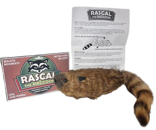 Funny RASCAL THE RACCOON Magic Trick Clown Spring Animal Puppet Prop ...