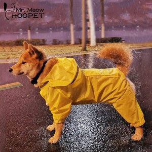 golden retriever in raincoat