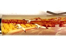 Oregon Floaty Pen Moving Seagulls Flying Birds over Coast Vintage