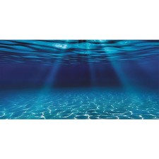 Underwater Aquarium Backdrop 48x18 in - Vibrant Fish Tank Background Decor