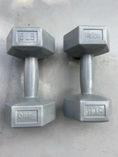 FLO 360 5 Lb Dumbbell Weights Pair (5 Lb each) Grey Fitness Cross Training