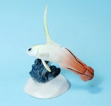 Yujin Saltwater Fish in color Part 1 red fire dartfish goby figure US seller