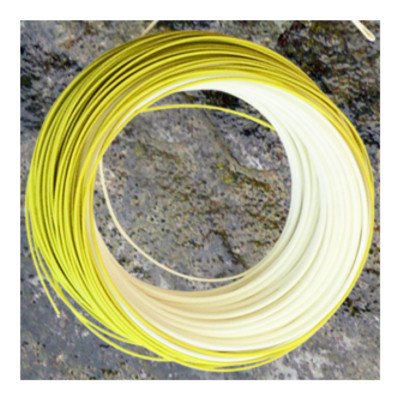 Wulff Triangle Taper 2 Tone Fly Line | eBay