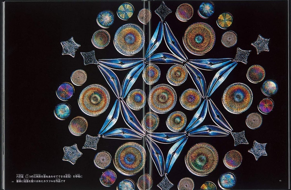 珪藻美術館 = Diatoms Art Museum 珪藻美術館 Diatoms Art Museum | 奥修 |本 | 通販 | Amazon