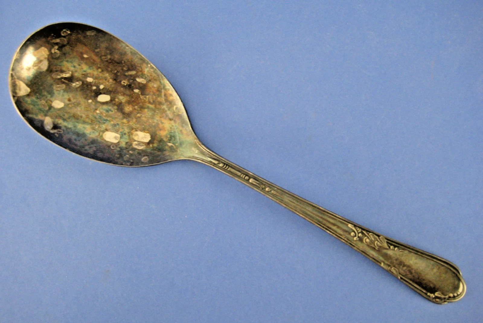 Oneida Meadowbrook Casserole Spoon Silverplate Rogers Leaves Dots Vintage