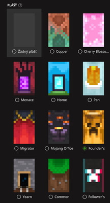 Minecraft AC with 11 capes, Founders cape etc.