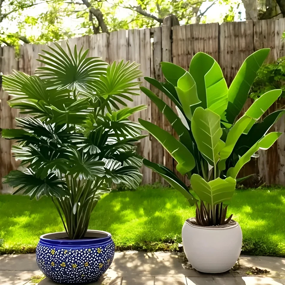 2 Pzas. Planta Artificial Sintético Palma Plátano 60CM Sin Jarrón Interior Casa - Imagen 4 de 4