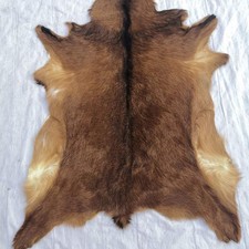 Red Deer Hide Rug Taxidermy Deer Skin Fireplace Deerskin Reindeer Decor Hide Rug