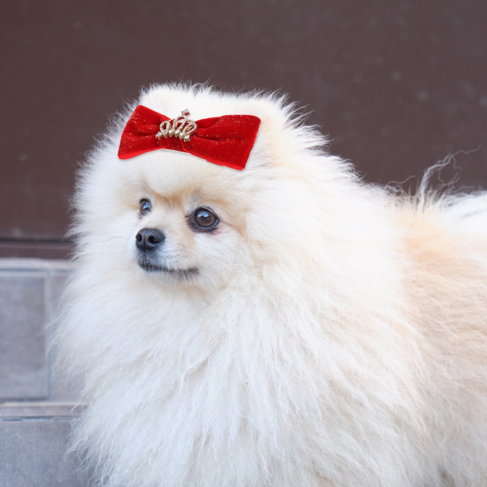 4 Pezzi Accessori Forcina per Animali Domestici Festa Matrimonio per Cani Fiocco Clip foto 4