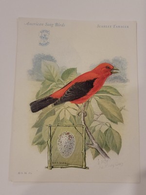 Singer Sewing Machines American Song Birds Trade Card Scarlet Tanager Vacuum