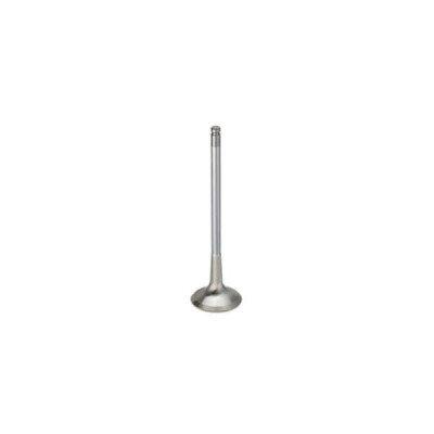 SUPERTECH EAUSLASSVENTIL SATZ FÜR AUDI S4 RS6 A8 4.2 40V V8 EXHAUST VALVE SET
