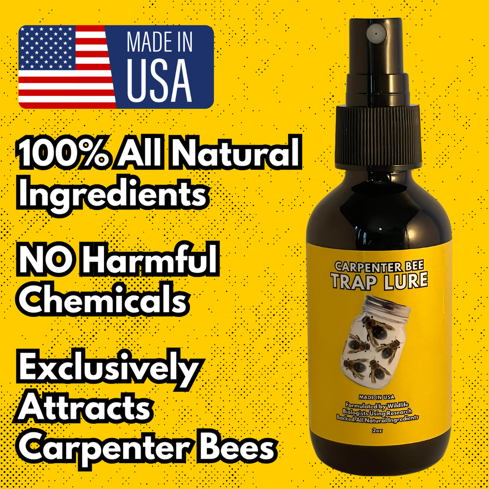 Carpenter Bee Trap Lure Pheromone Bait Attractant Scent for Wood Bee