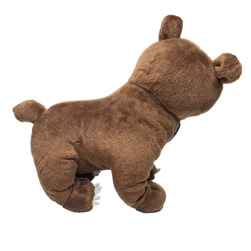 Go Diego Go Animal Rescue Bear Talking Mattel Fisher Price Plush 11” Works Video - Picture 4 of 11