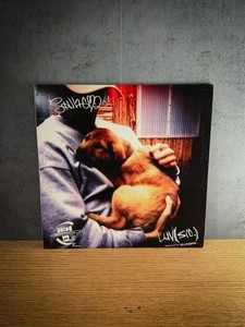 Nujabes Luv sic Vinyl | eBay