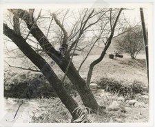 Vintage 8x10 Production Photo China 1943 Loretta Young Alan Ladd William Bendix