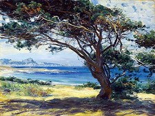 Seascape sea coast tree mountain G. Rose Tile Mural Bathroom Backsplash Ceramic
