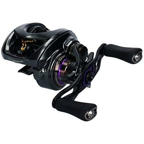 Daiwa STEEZ CT SV TW 700XHL Baitcasting Reel | eBay
