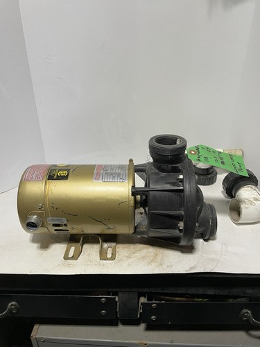 HAYWARD 115V, 13.8amp, Whirlpool Bathtub Pump. SP-1510-Z-1-XE, SP1711SD - Picture 3 of 11