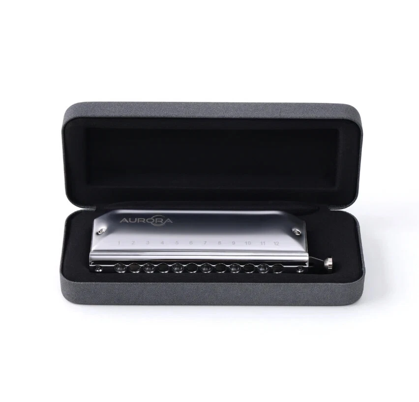 Chromatic Harmonica 12 孔高级高品质带不同键 — 第 2/4 张图片