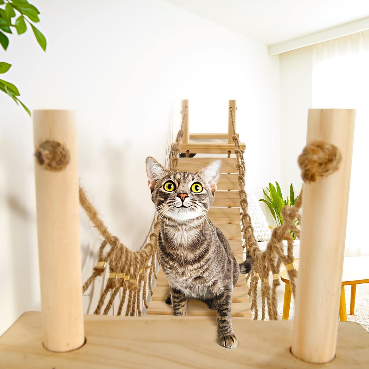 CAT★ Calmbee Cat Wall Shelves, Cat Wall Furniture 70