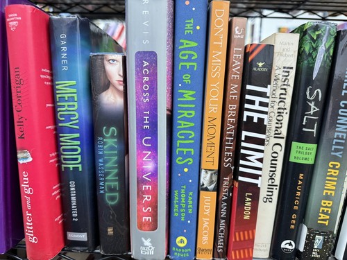 15 bis 18 Pfund gemischtes Lot guter Zustand Bücher Lager wenig kostenlose Bibliothek LFL - Bild 3 von 4