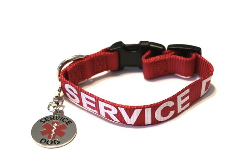 Service Dog | Emotional Support Animal Dog Collar Tag Harness ALL ACCESS CANINE™ - Picture 2 of 12