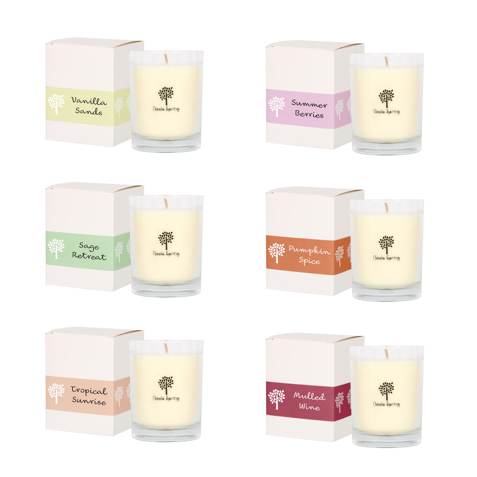 Soy Wax Scented Candle with Jar 160g Highly Scented Aromatic Home Fragrance Gift