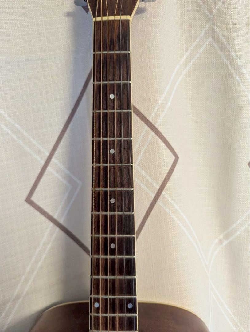 Aria　ADW-250 Aria ADW-250 Acoustic Guitar 12-String Spruce Top Mahogany