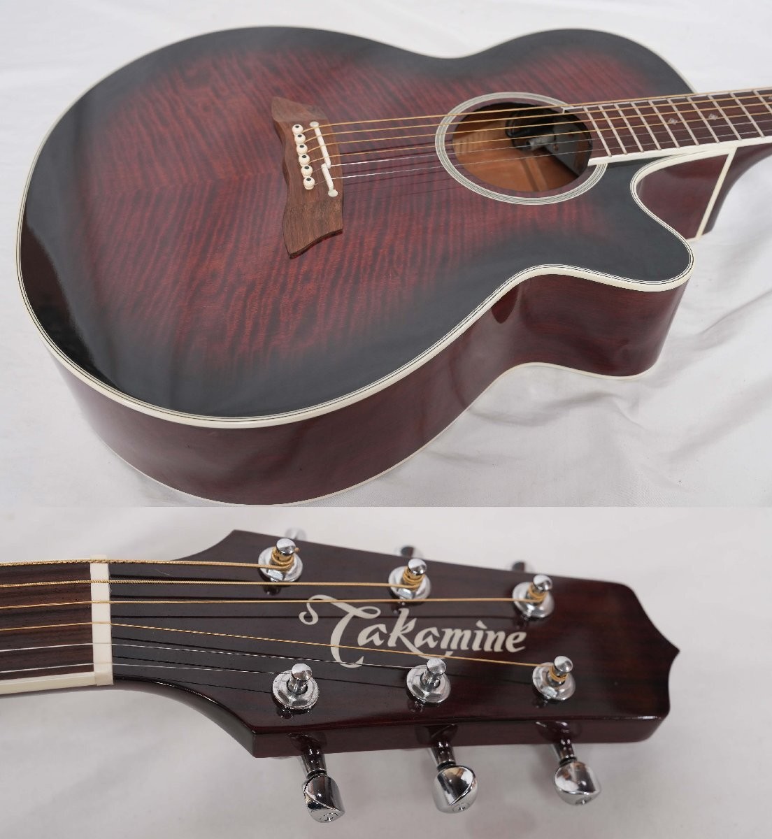 TAKAMINE DSP－110
