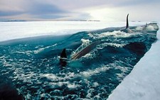 Landscape sea ice antarctica nature orca Custom Gaming Mat Desk