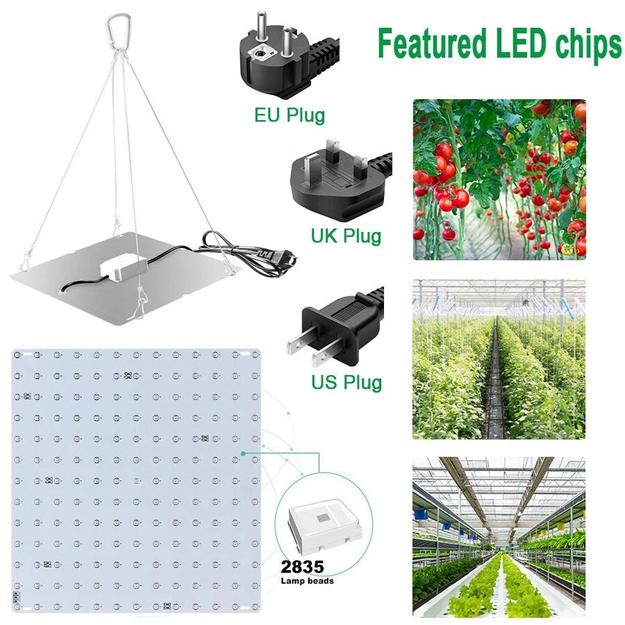 2000W LED Grow Light Full Spectrum for Indoor Plants Flower Veg Bloom IR