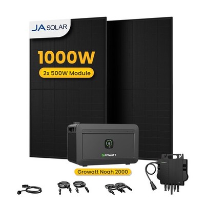 1000W Balkonkraftwerk mit Speicher 2048Wh,800W Wechselrichter Growatt Noah 2000