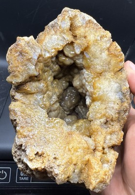 Fossilized Indiana Geode Quartz Crystal Half Agate crinoid calyx 1,665 Grams