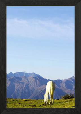 Pferd gerahmtes Wandbild Poster Leinwanddruck Bild