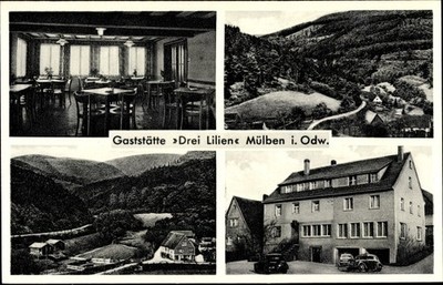 Ak Mülben Waldbrunn im Odenwald, Gasthof Drei Lilien, Teilansicht - 3076601