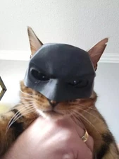 Batman mask for cats, black 3D printed, Halloween costume for your cat