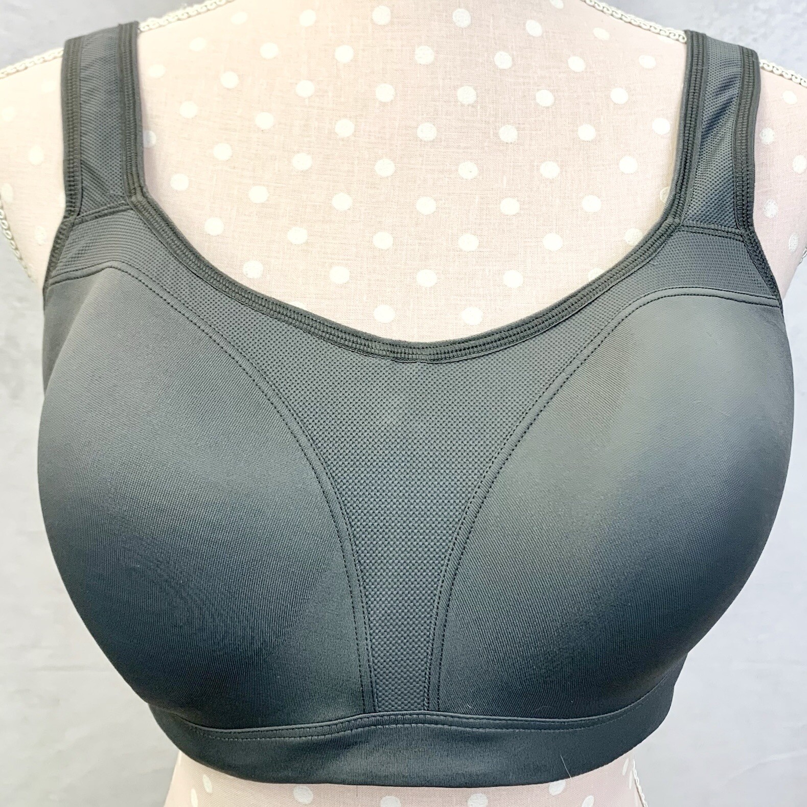38ddd sports bra size