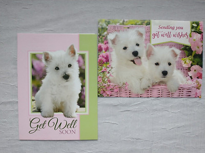 2 Westie Puppies Greeting Card West Highland White Terrier Get Well dog Floral