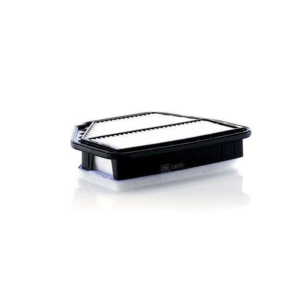Luftfilter MANN-FILTER C 30 012 FüR Opel General Motors-image