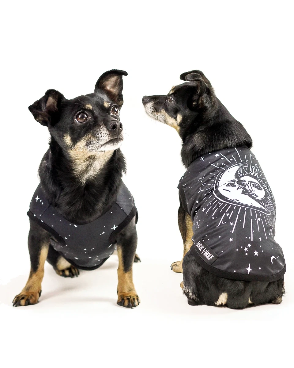 Punk shop dog vest