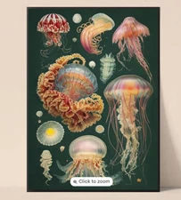 Vintage Jellyfish Poster Ocean Art Print, Marine Wildlife Decor, Nautical A4