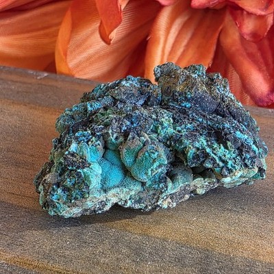 Chrysocolla Mineral Specimen, Copper Ore Rock, Planet Mine, Arizona, Botryoidal