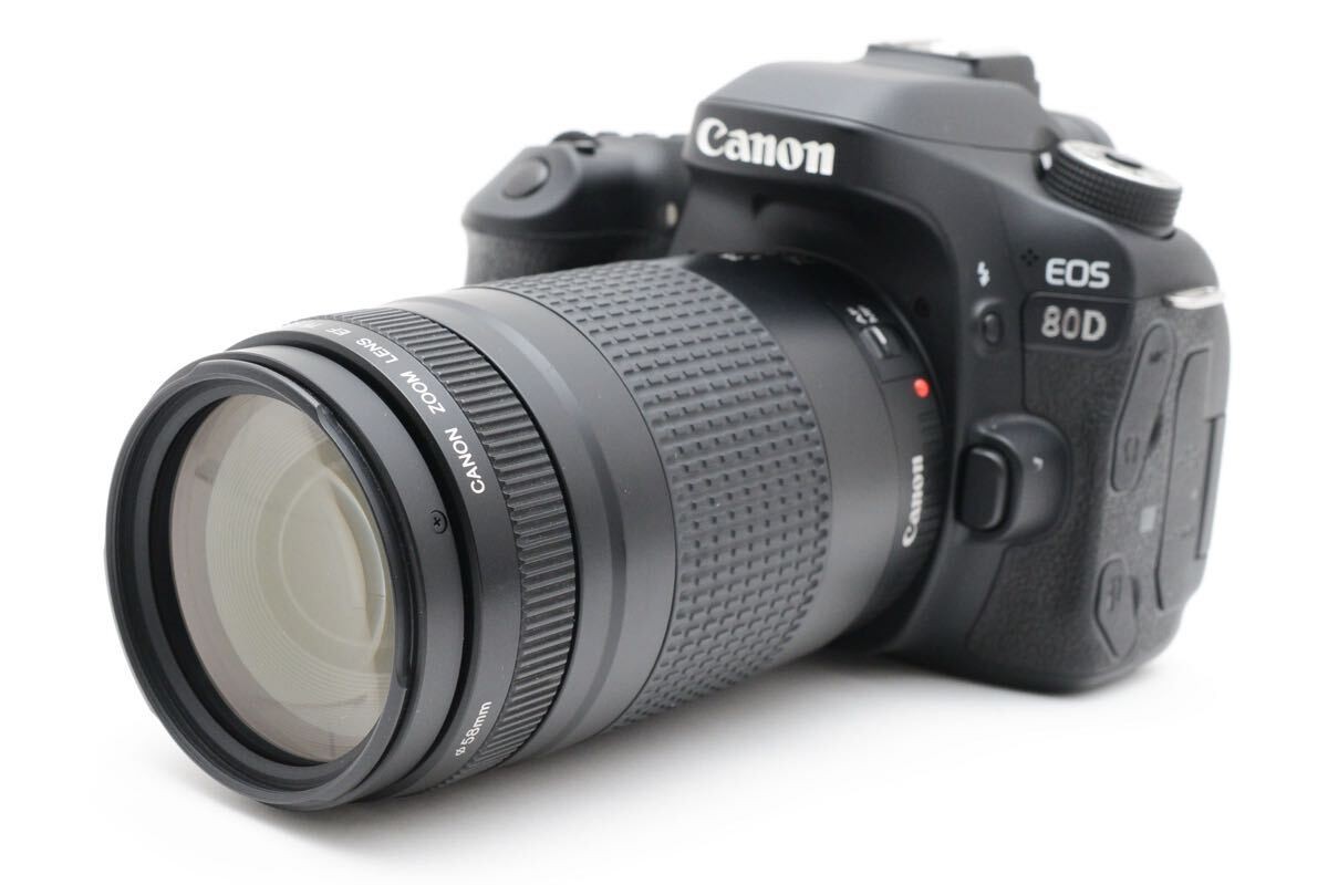 Canon EOS 80D / Canon75-300mm F4-5.6III