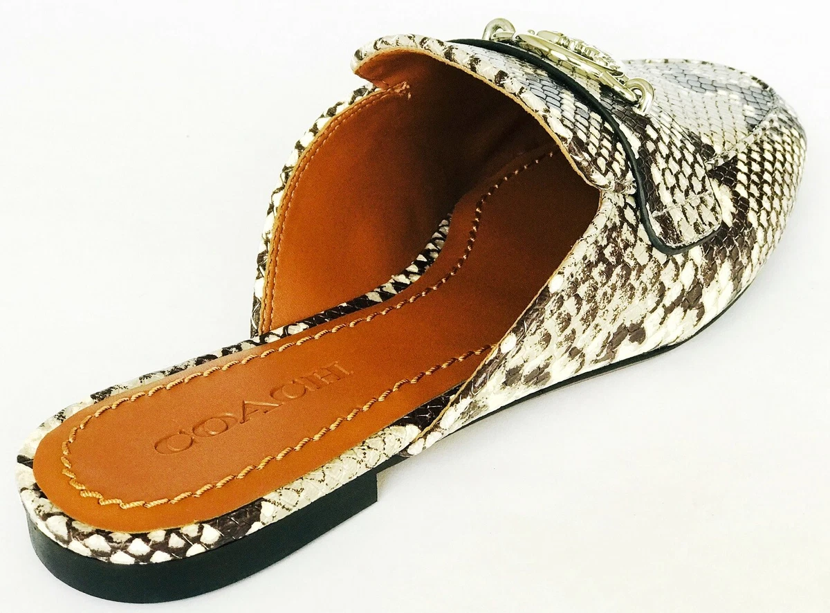 Scotty slide coach clearance