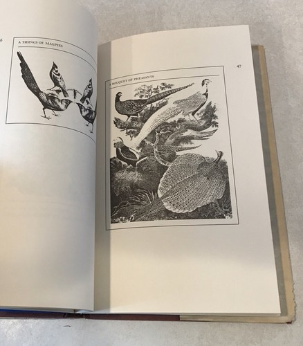 An Exaltation of Larks (1968) James Lipton Printings Engravings HC DJ Illust. - Picture 9 of 9