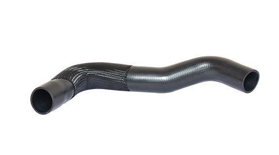 NEU - Bugiad 88647 Ladeluftschlauch Passend FüR Fiat-image